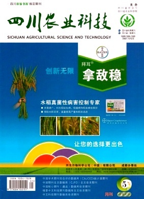 科技赋能天府粮仓 四川农业科技的创新实践与未来展望